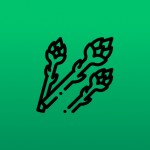 Programa-Espárrago