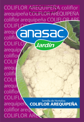 Producto