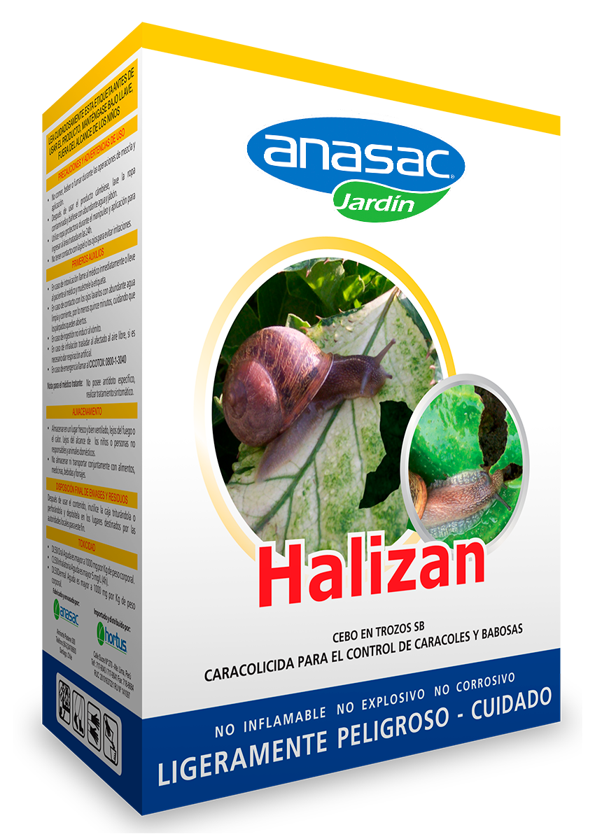 Producto