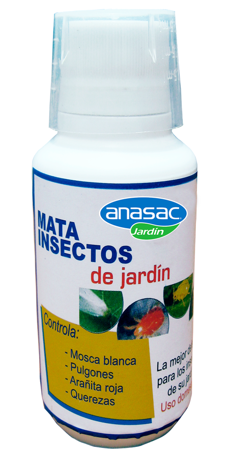 Producto