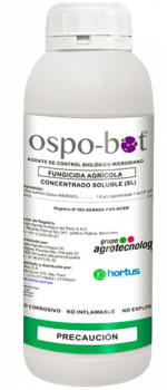 Producto