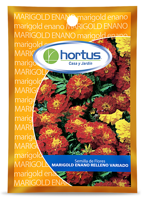 Producto