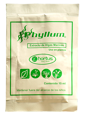 Producto